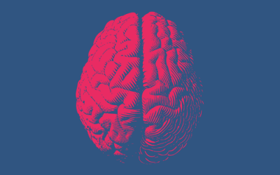 True or False: Cannabis Use Will Lower Your IQ