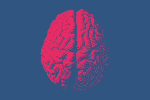 True or False: Cannabis Use Will Lower Your IQ
