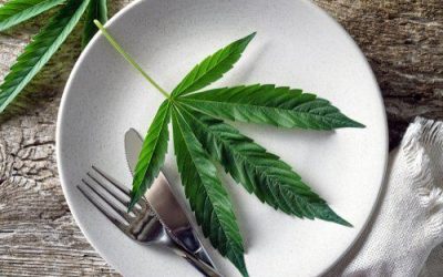 Can You Eat Raw Cannabis?