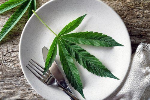 Can You Eat Raw Cannabis?