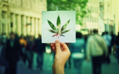 This Year Florida Won’t Vote on Recreational Marijuana
