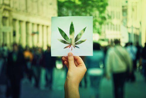 This Year Florida Won’t Vote on Recreational Marijuana