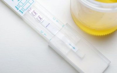 How Long Does Cannabis Stay in Your System in Ohio?