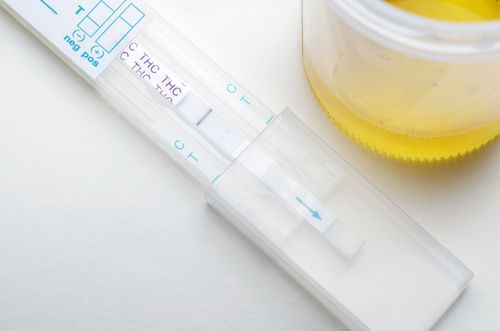 How Long Does Cannabis Stay in Your System in Ohio?