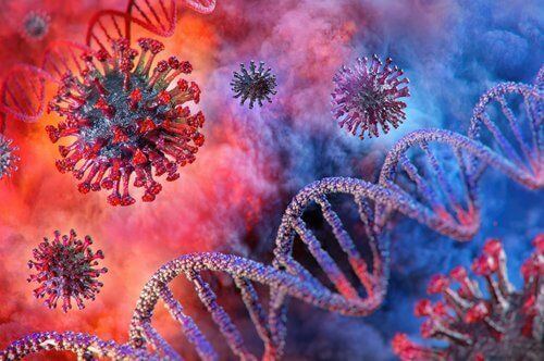 Can Cannabis Treat COVID-19?