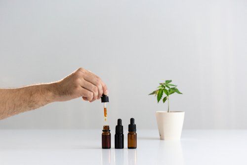 How Much CBD Should I Take Daily?