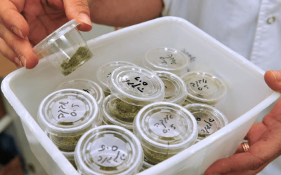 Can Ohio Medical Marijuana Patients Use Marijuana Products in Hospitals?