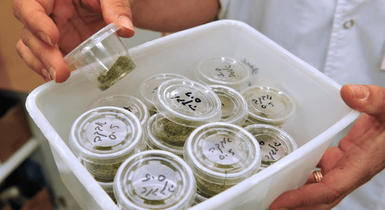 Can Ohio Medical Marijuana Patients Use Marijuana Products in Hospitals?
