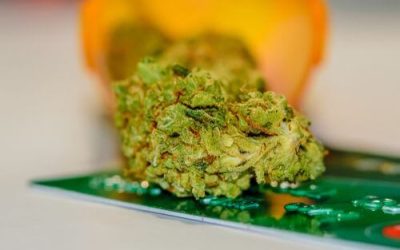 The Ultimate Guide to Ohio Medical Marijuana 2020