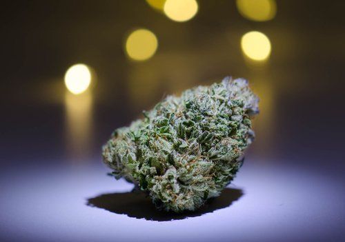 Feeling Stressed? These Strains Are Known for Their Relaxing Effects