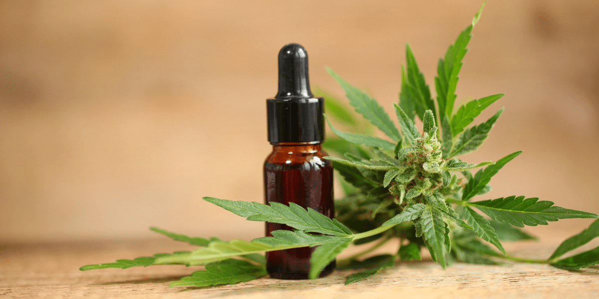 cbd and thc