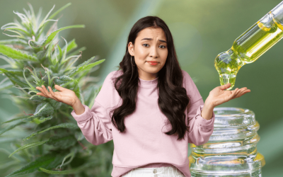The Ultimate Guide to Understanding THC & CBD Ratios