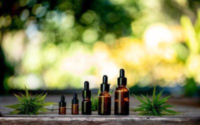 Does CBD Work Better With THC?