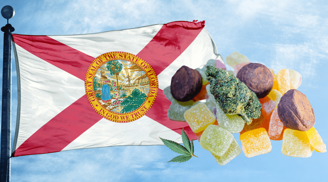 Marijuana Edibles in Florida: Everything You Need to Know