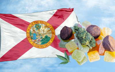 Marijuana Edibles in Florida: Everything You Need to Know