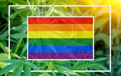 In Honor of Pride Month Here’s How Medical Marijuana Helps the LGBTQ Community