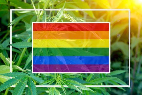 In Honor of Pride Month Here’s How Medical Marijuana Helps the LGBTQ Community