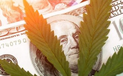 How to Afford Florida Medical Marijuana on a Fixed Income