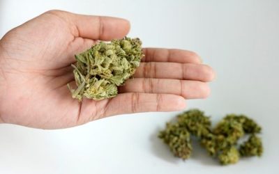 Ohio Medical Marijuana Patients Are Staying Stress-Free During COVID-19 With These Strains