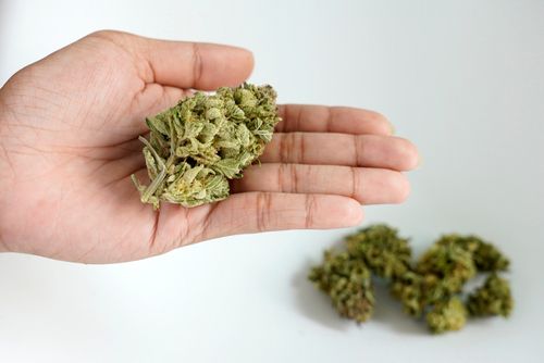 Ohio Medical Marijuana Patients Are Staying Stress-Free During COVID-19 With These Strains