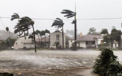 Hurricanes: Stay Calm With These Cannabis Terpenes