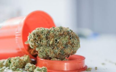 Ohio Medical Marijuana: Residents Are Finding Relief From These Symptoms