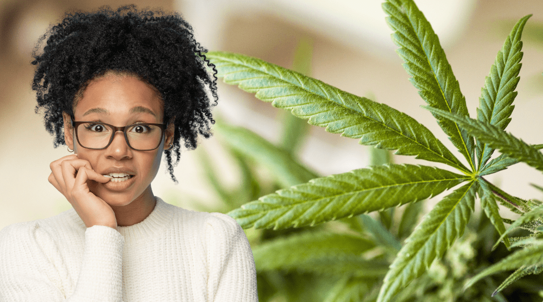 Will Sativa Strains Induce Anxiety?