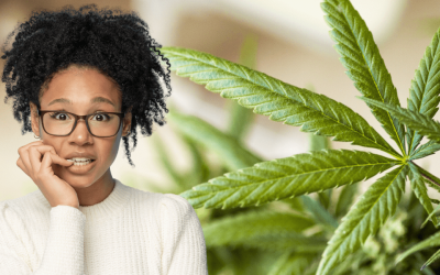 Will Sativa Strains Induce Anxiety?