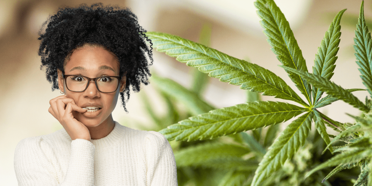 Will Sativa Strains Induce Anxiety?
