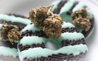 Are Marijuana Edibles Sold in Ohio Dispensaries?