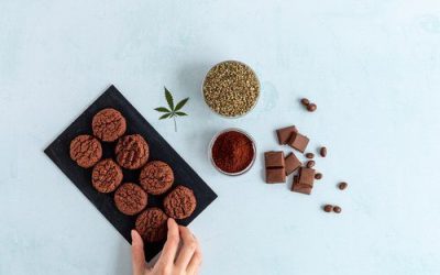 Can I Legally Make My Own Edibles in Florida?