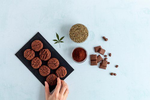Can I Legally Make My Own Edibles in Florida?