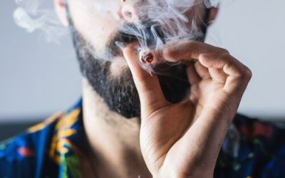 Will Florida Ever Legalize Recreational Marijuana?