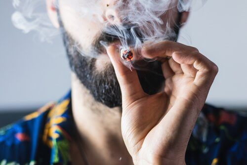 Will Florida Ever Legalize Recreational Marijuana?
