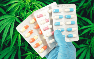 Can Marijuana and Antibiotics Be Used Together?