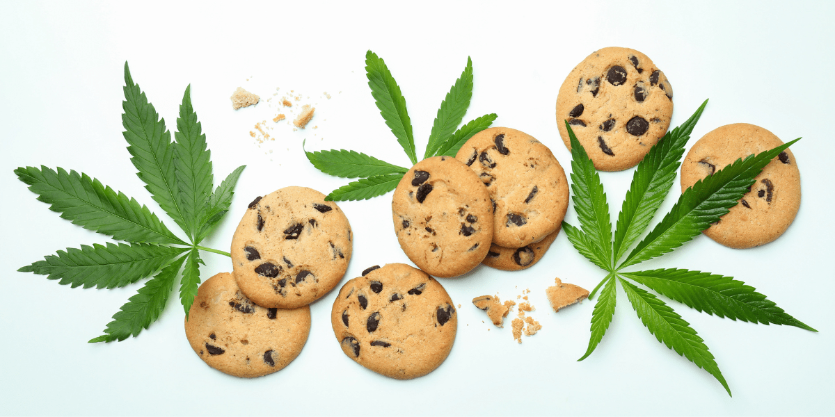 marijuana edibles and antibiotics