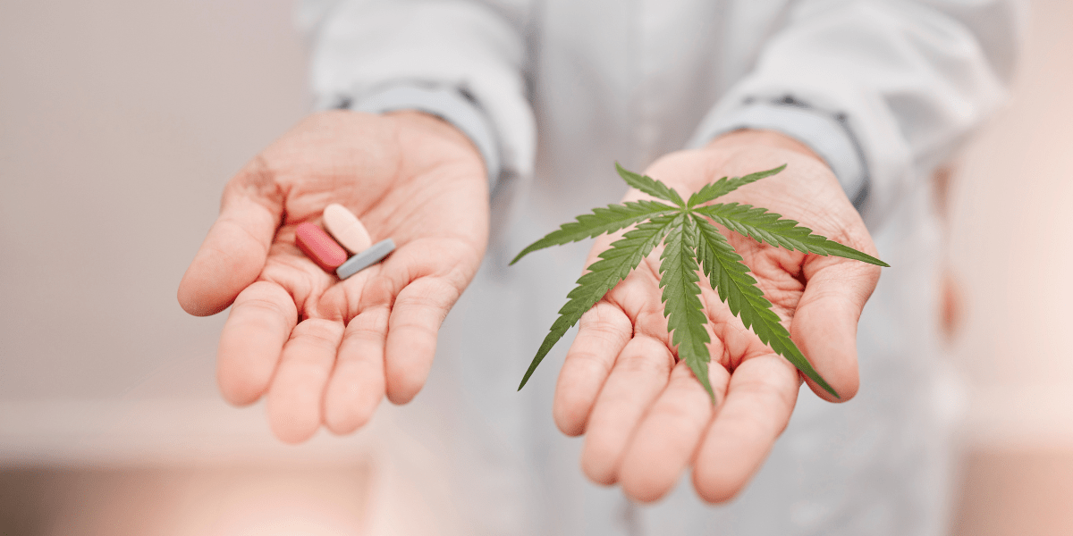 medical marijuana vs antibiotics