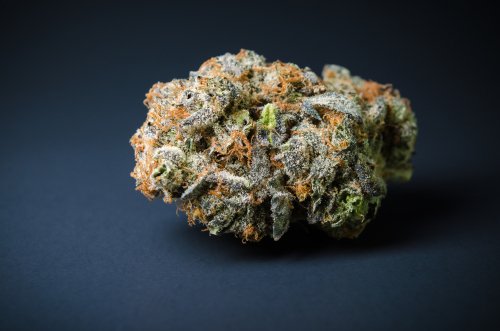 Strain Feature: All About Blue Dream Medical Marijuana
