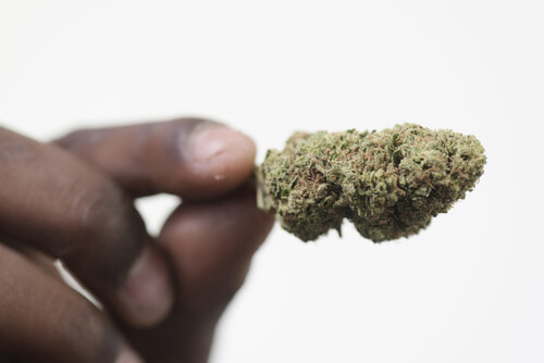 African Americans & Their Role in the History of Cannabis