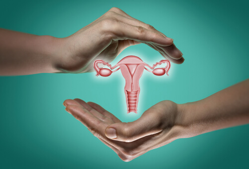 Cannabis & Cervical Health: What Women Need to Know