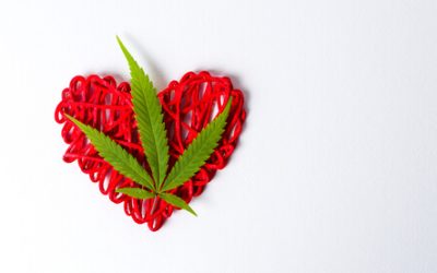 American Heart Month: Does Cannabis Play a Role in Heart Health?