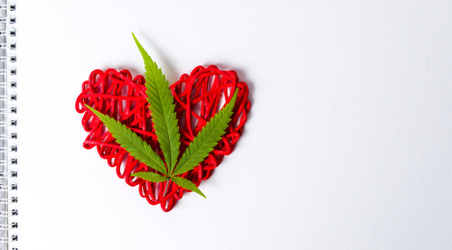 American Heart Month: Does Cannabis Play a Role in Heart Health?