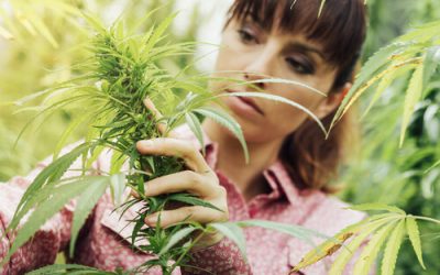 Influential Women In Cannabis Everyone Should Know About