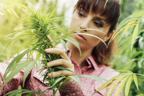 Influential Women In Cannabis Everyone Should Know About