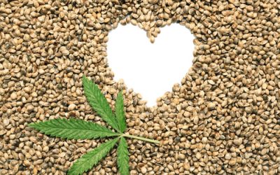 THC & CBD’s Role in Heart Health