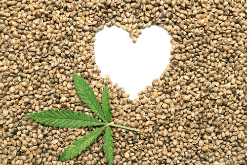 THC & CBD’s Role in Heart Health