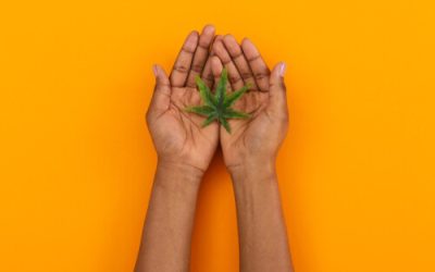 What You Need to Know About Cannabis History & Black History