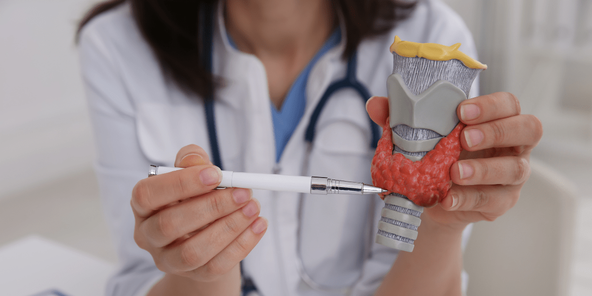 thyroid doctor