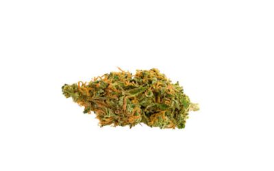 Strain Feature: Sour Diesel
