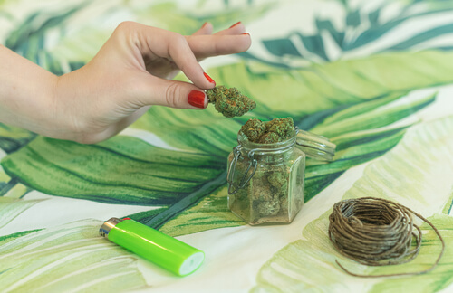 5 Common Myths About Cannabis Debunked